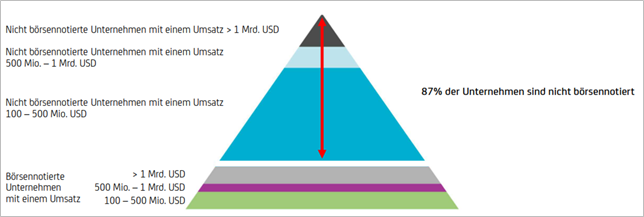 Grafik zeigt, dass 87% der US-Unternehmen mit einem Umsatz von mehr als 100 Mio. US-Dollar nicht börsenotiert sind; Quelle: Hamilton Lane Data. Stand: 31.3.2021.